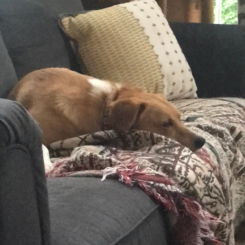 Meet your Posher, Juna